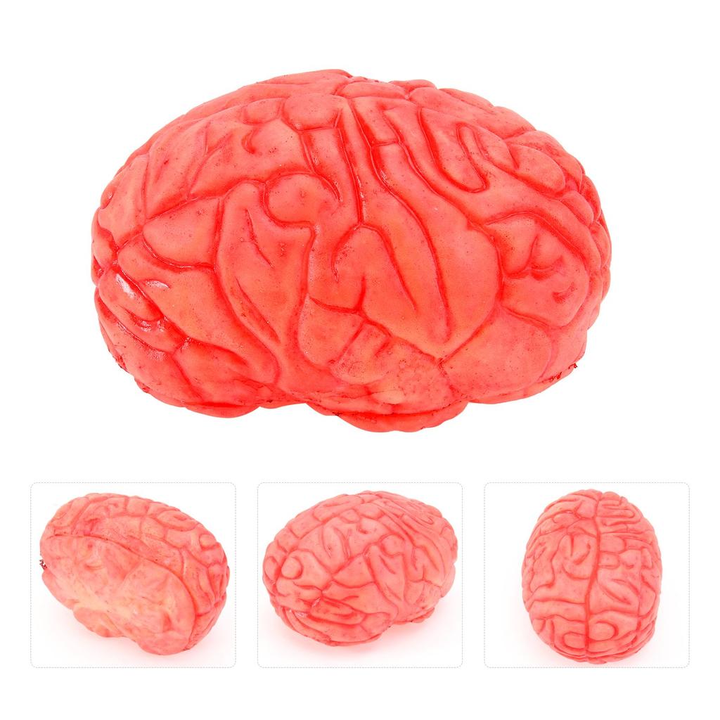 1Pc Halloween Prop Bloody Scary Fake Organ Human Realistic-looking Brain Body Parts for Halloween Party Accessories Dark Red