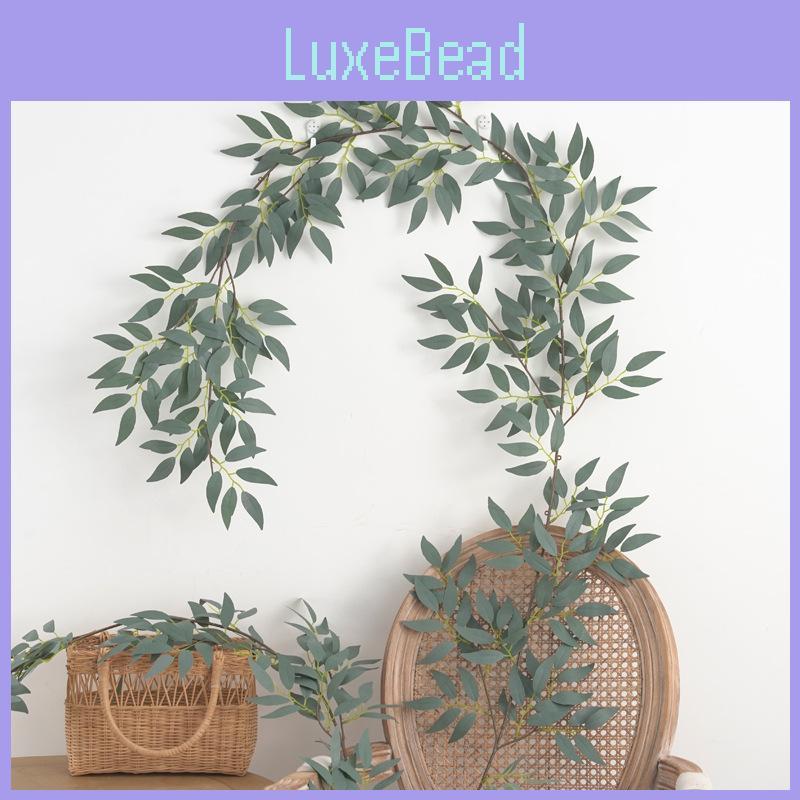 Foliage Leaf Eucalyptus For Wedding Backgrounds Outdoor Photography Decoration