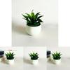 Fake Sinocrassula Indica Plant Pot With Pvc Material For Home Decor And Photography Props