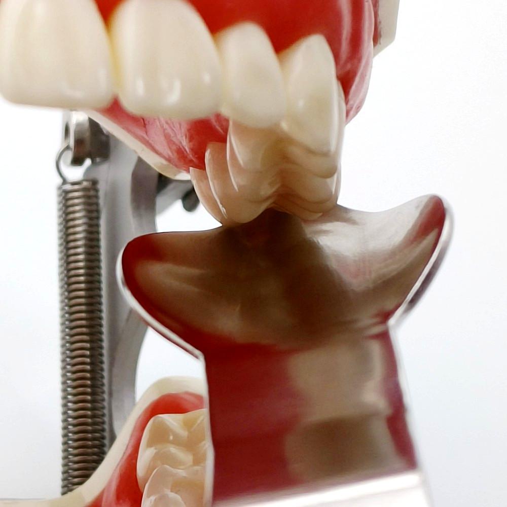 Dental Surgical Retractors Laster 3rd Morlar Retractor Dental Surgical Implant Tools Dental Implant Tools Stainless Steel