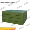 Golden Lion Fitness & Gymnastics Mat