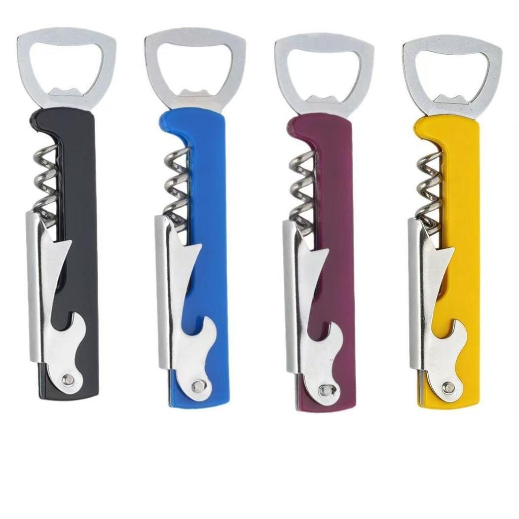 Bouteille portable personnalisable en acier inoxydable et tire-bouchon