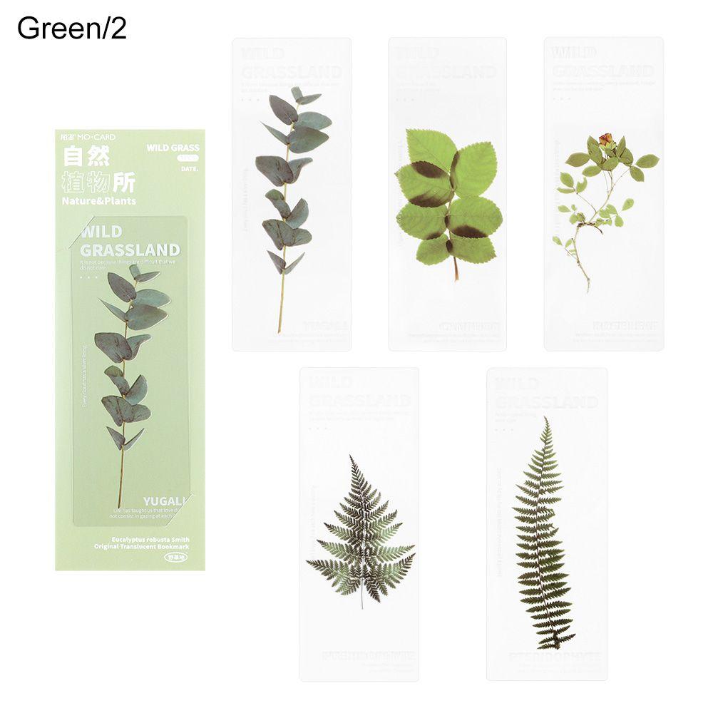 Note Marker Leaf Vein Specimen Bookmarks Bookmarks Card Nature Plants Bookmarks Translucent Flower