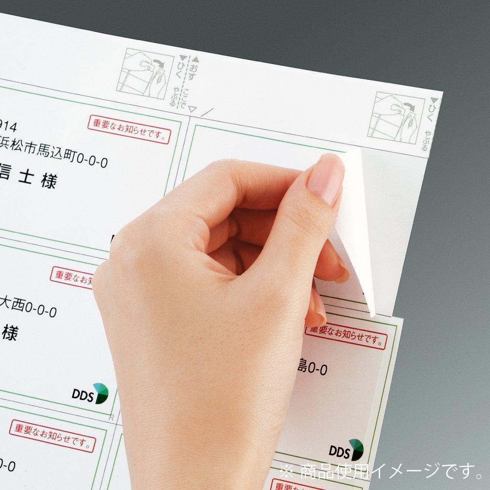 Kokuyo Color Laser Copy Labels, Relabel, Hakadori Type, 10 Labels with Four-Sided Margins, 100 Sheets (LBP-E80367)