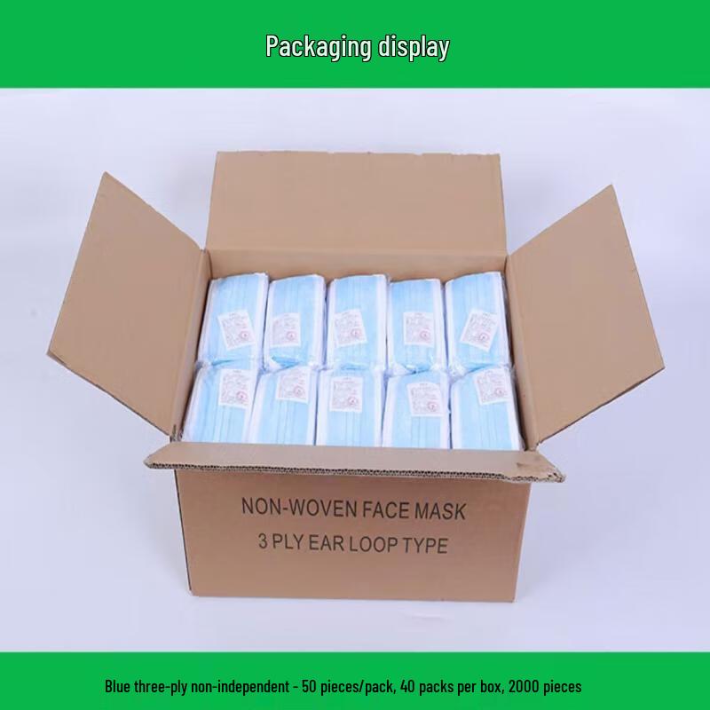 Hanyou Disposable 3-Layer Protective Mask