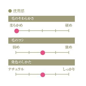 Authentic Kumano Brush Chikuhodo Silver Fox Shadow Liner Brush, Red Shaft, RR-SL5, Hiroshima, Regular Series, Makeup Brush, CHIKUHODO (Red)