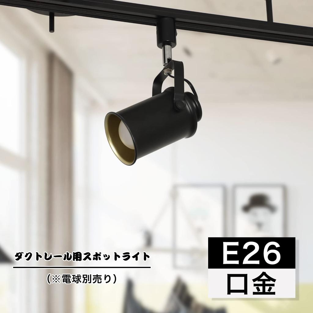 Dotoy Track Light Spotlight, E26 Base, LED Compatible, for Track Lighting Bars