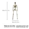 Halloween Skeleton Man Skeleton Simulation Human Skeleton Ghost House Party Decoration Decoration Prop Horror Skeleton