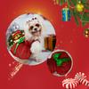 Pet Christmas Dress Abdominal Tightness Bow Tie No Pilling Comfortable Breathable Photograph Prop