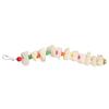 Bird Chewing Toys Colorful Natural Calcium Supplement Teeth Grinding Parrot Cuttlebone Chew Toy with Bell XL