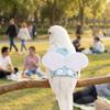 Breathable Bird Flight Suit Escape Proof Bird Training Gear Parrot Flying Harness  Bird Walking