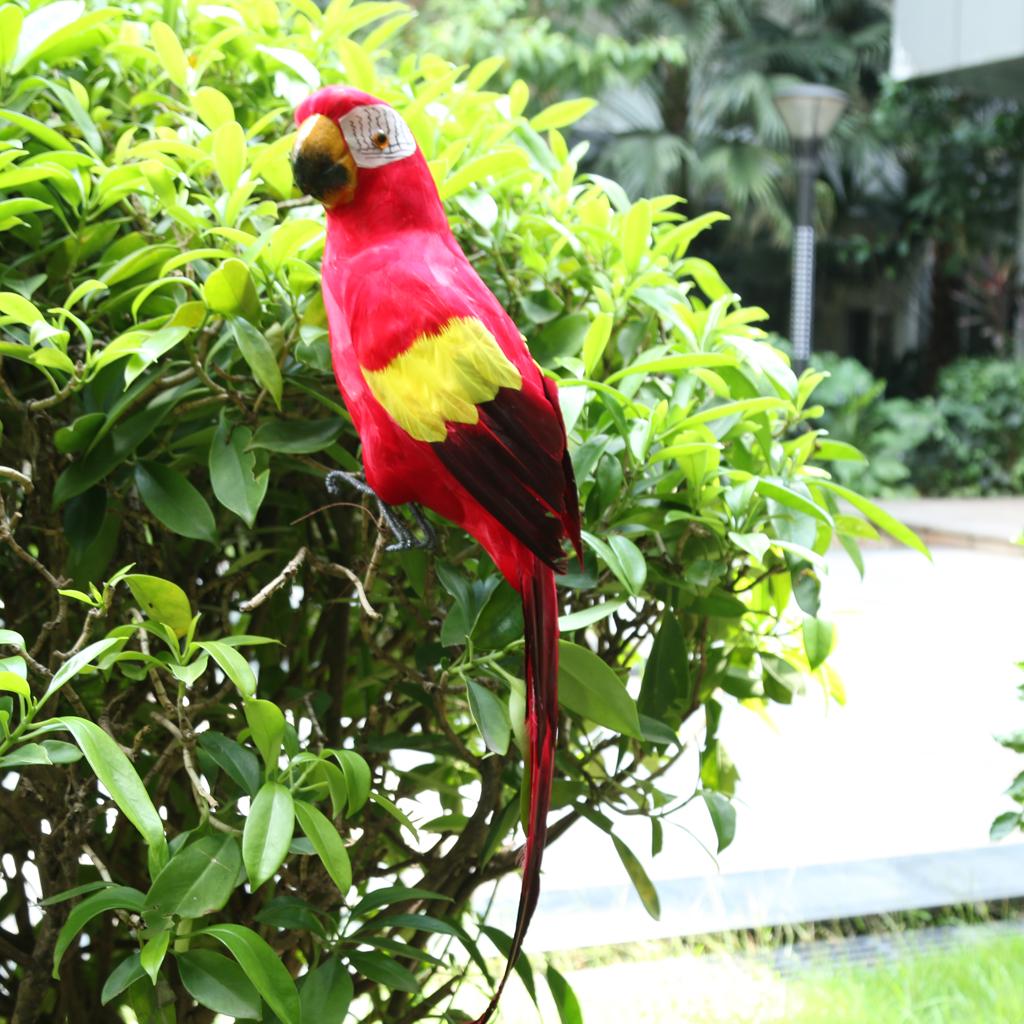 45 cm artificielle Perroquets Oiseaux réaliste principal décor Budge taxidermy