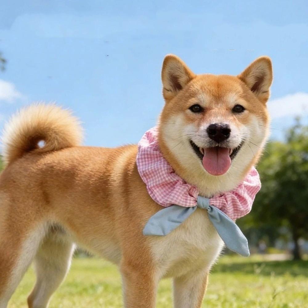 Bequemes Hundehalsband Karomuster Katzenhalsband Haustierzubehör Haustierkatzenschal Für Fotos