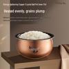 Supor IH Smart Rice Cooker CN plug (adapter included)