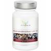 Vitafair Pine Bark Extract 400 Mg 120 Capsules