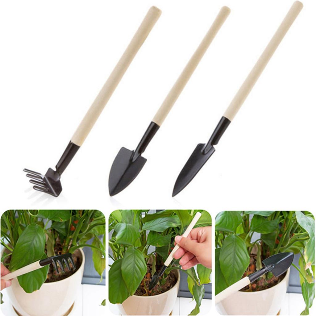 3 Piece Horticultural Succulent Plant Planting Tool Set  Horticultural Tool Set