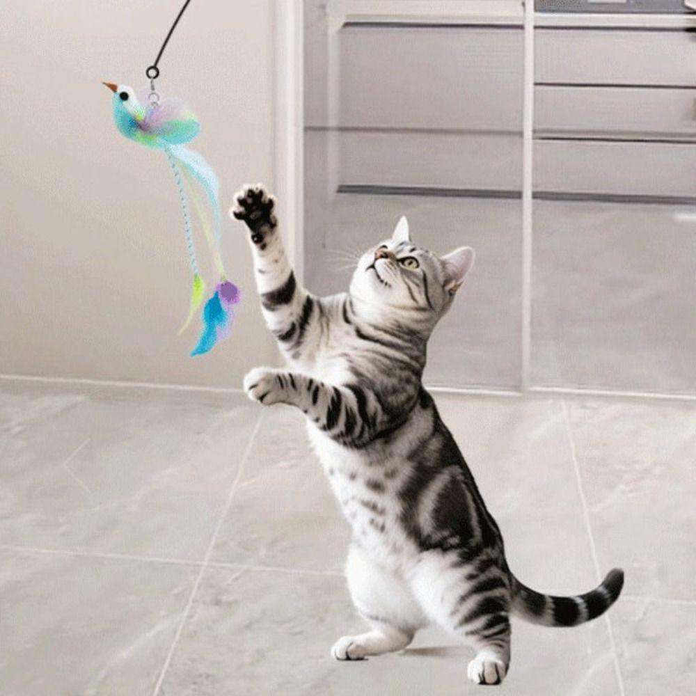 Hands-Free Interactive Cat Toy Detachable Cat Stick Toy Funny Kitten Playing Toy  Pet Supplies
