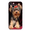 Black Tpu Case For Realme 2 3 3i 5i 5s 6s 7i 6 7 8 8i pro 4g 5g cover Yorkshire Terrier Dog