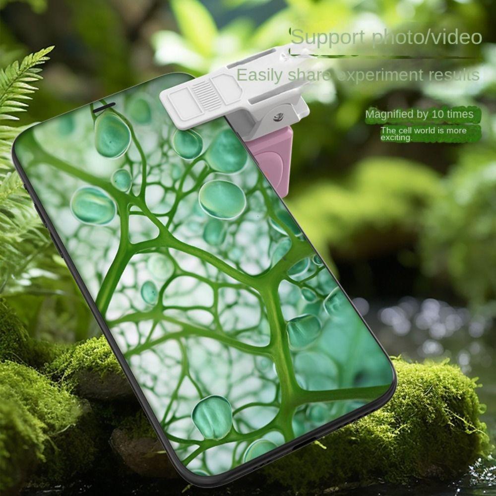 80x Magnification Portable Microscope LED Flashlight Pocket Microscope 80x Mini Microscope  Boys