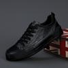 Spring Men's Trendy Casual Leather Shoes: Korean & British Style, Versatile, Front Lace-up, Low-top Design