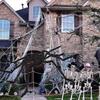 200" Halloween Spinnennetz + 59" Riesenspinne Dekorationen Künstliche Spinne Mit Dreieckigem Riesigem Spinnennetz Für Innen Außen Halloween Dekorationen uu