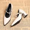 2026 Designer Spring Pointed Toe Women Mary Jane Shoes Fashion Shallow Belt Buckle Shoes Elegant Thick Heel Leather Shoes
