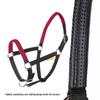 Durable Woven Horse Halter & Lead Rope for Training and Riding