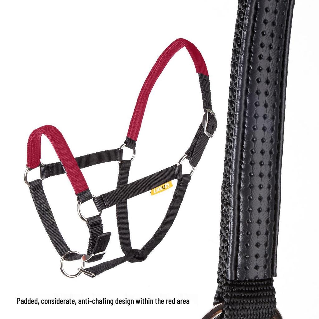 Durable Woven Horse Halter & Lead Rope for Training and Riding
