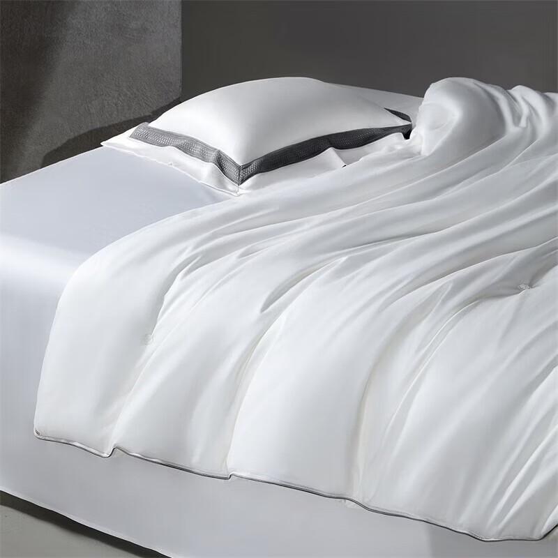 Mercury Home Textiles 100% Mulberry Silk Quilt with Cotton Cover