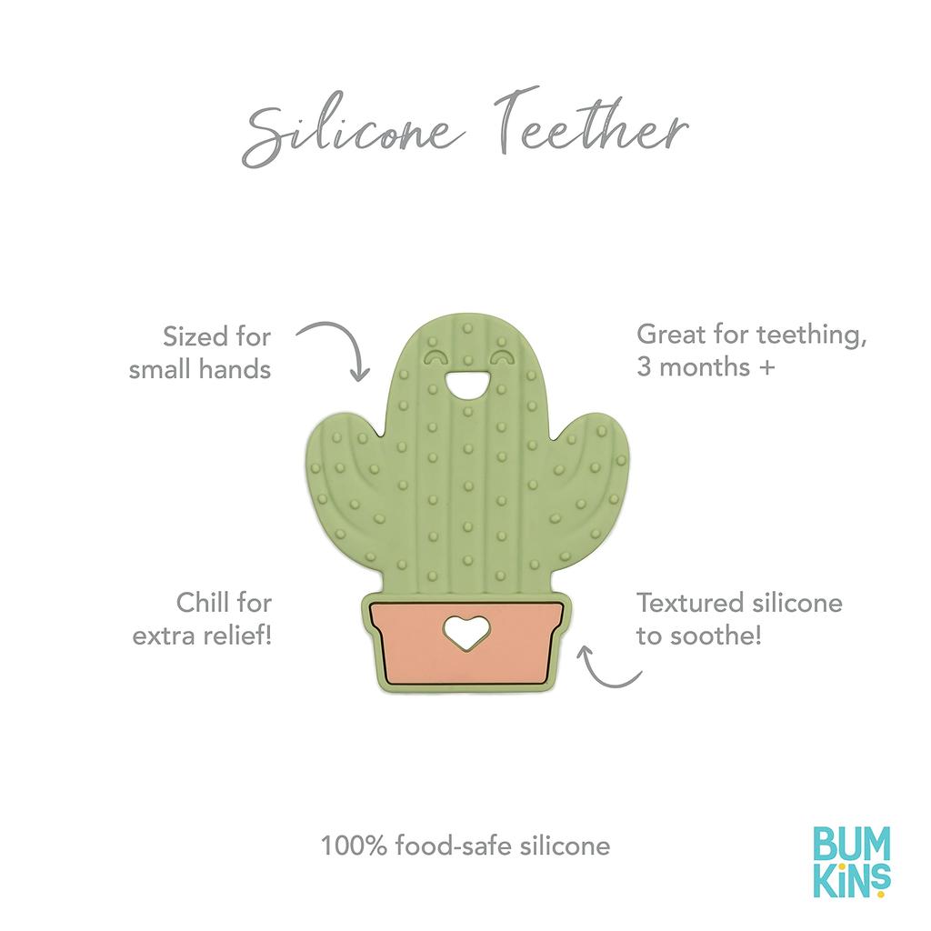 Bumkins Dental Teething Pads Japanese for Babies 3 Months and (Official Product) Up, Cactus, BM-THRCTS