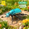 ToylinX 8 in 1 Insect Robot Building Blocks Toy 699 PCS DIY Construction Gift Kids Adults Boys Girls with Realistic Insect Model