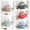 Visible Transparent Crossbody Bag Adjustable Strap Candy Color Pu Bag  Beach