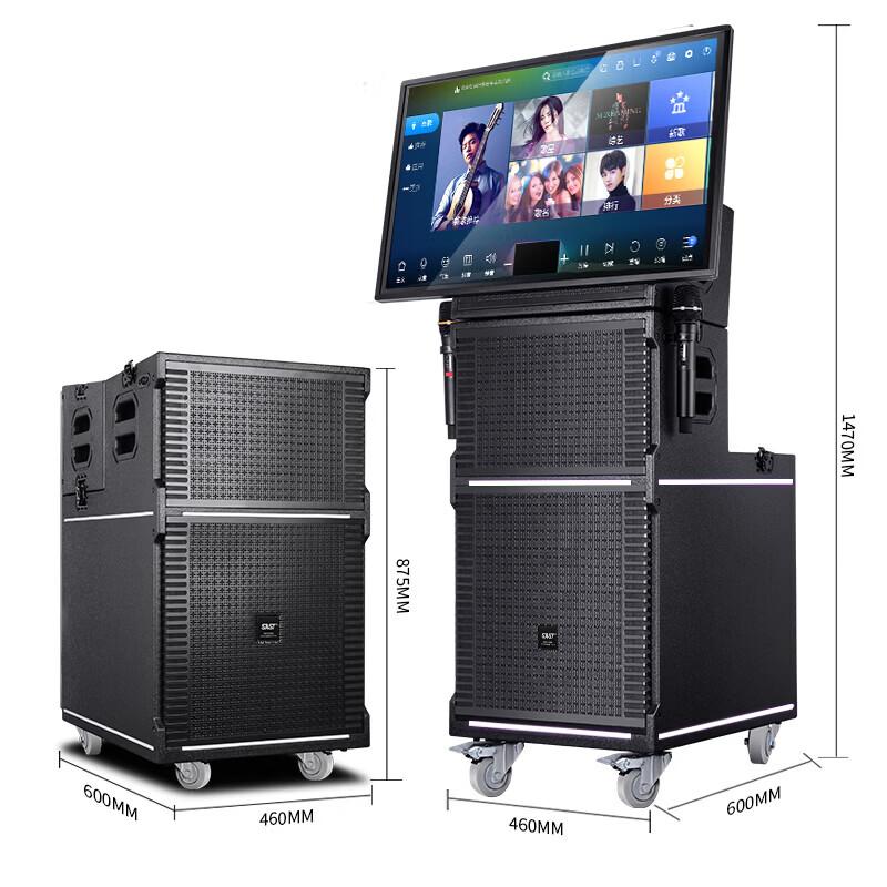 SAST Portable Karaoke System with 35-inch HD Display CN plug (adapter included) (CN version)