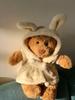New For Jelly  31cm Shy Bonnie Rabbit Holding A Birthday Cake Plush Doll Accompanying Cats, Dogs And Pets Holiday Gift.