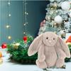 Long Ear Bunny Cartoon Toy Dolls For Kids Children Birthday Gift