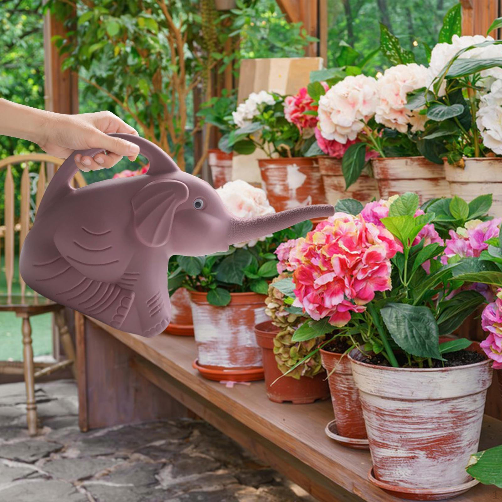 

2L Watering Can for Pets, Garden Can, Small Houseplants, Patio