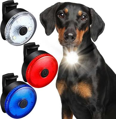 Perros – Collares y correas