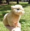 BH7022 HANSA Netherland Dwarf 21