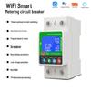 Graffiti WiFi Smart Circuit Breaker: 2P Timer, 20A Overload Protection for Low Voltage Appliances