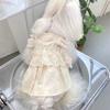 Pet Spring and Autumn Lace Dress Pet Small Dog Teddy Lace Vest Top Cat Thin Dog Dresses for Small Dogs Puppy Clothes