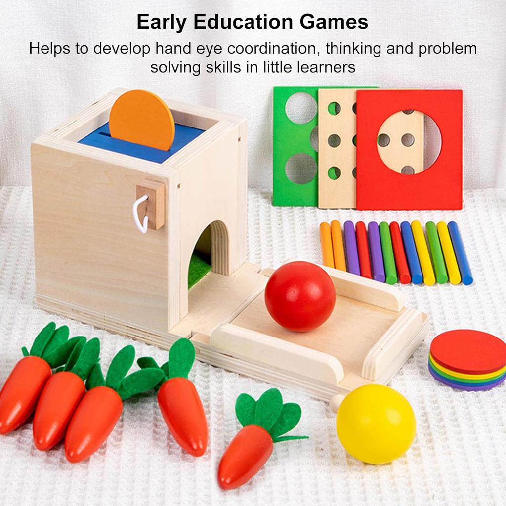 Montessori Toys Play Kit Sorting & Matching Toys Coin Ball Box Multi-function Stick Pull Radish Game Baby Learning Toys