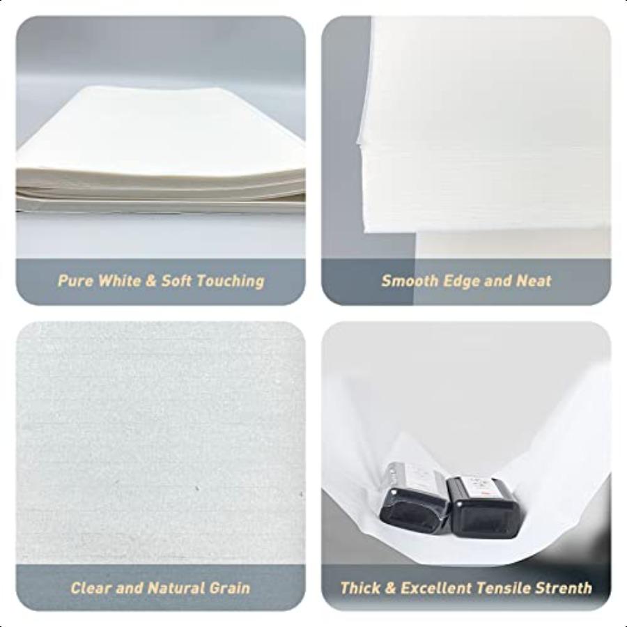 JANNO 200 Sheets Raw Xuan Paper Sheng Xuan Rice Paper Without Grids Chinese Calligraphy Practice Writing Sumi Drawing Painting