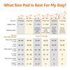 Amazon Basics Pet Training Pads for Standard 56 x 56 Dogs, Size, 100-Pack, cm, Blue/White