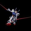 HG D Gundam Second Fake Under the 1/144 (Double Gundam)