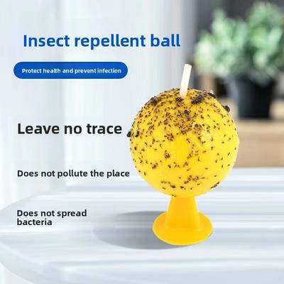 Städ & Hushåll – Insekter