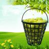 Ball Basket Plastic Ball Container with Handle Ball Holder Container