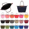 Borsa a tracolla pieghevole in nylon da donna, impermeabile e pratica, borsa portaoggetti per sport, fitness, shopping e regali, colore Rosso Vino, Rosso, Viola