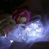 USB Copper Wire LED String Light Festive Light Ornament with Remote ControlWhite 3 Meters