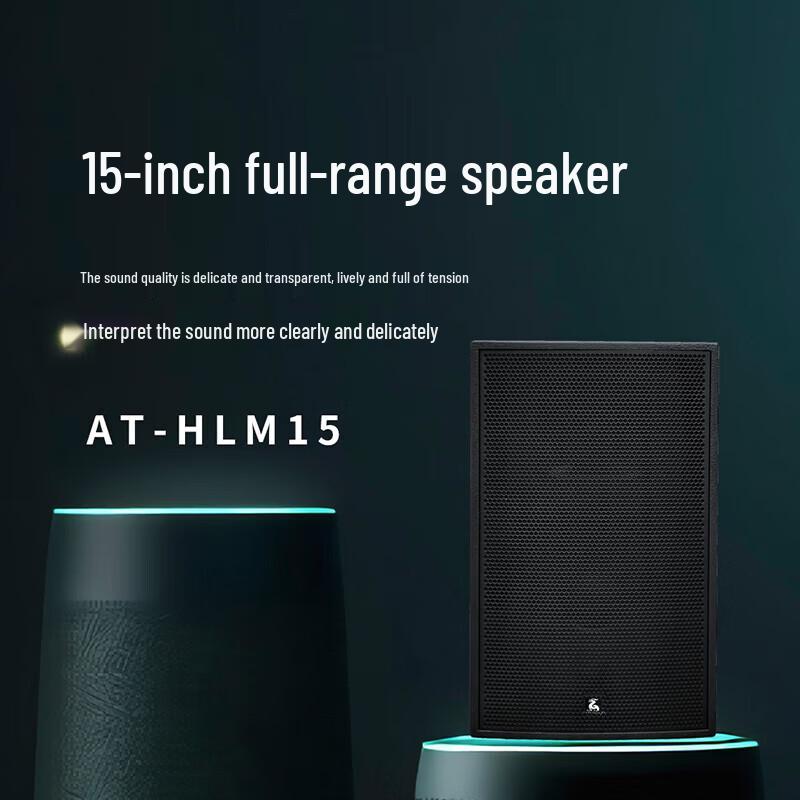 FionTu Qilin 15-inch Full-Range Conference Speaker (CN version)