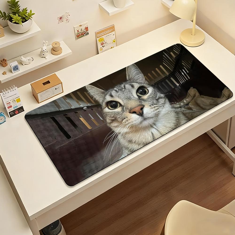 Gaming Mouse Pad Large Desk Mat Antislip Rubber Base Stitched Edges Funny Meme Cat Art Print Extended Office Gamer Mat